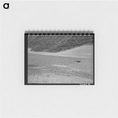 アートメモ帳-Mountain Hay Field
 - ラッセル リー Memo.