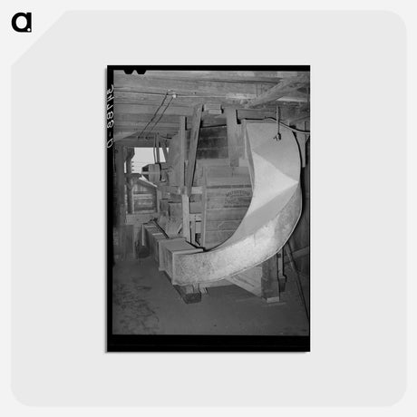 アートポストカード-Peanut Separator
 - ラッセル リー Postcard.