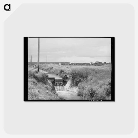 アートポストカード-Free Family Farmstead
 - ラッセル リー Postcard.