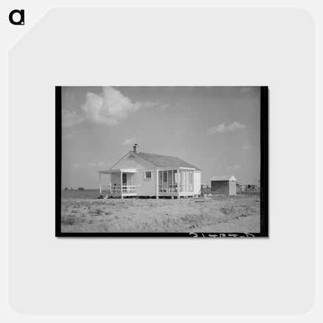 アートポストカード-Southeast Missouri Farms
 - ラッセル リー Postcard.
