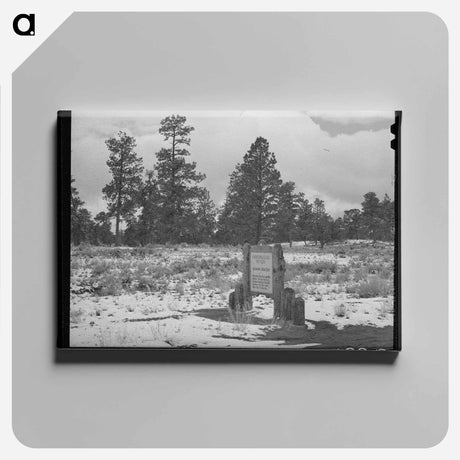 アートパネル-Snow on the Continental Divide
 - ラッセル リー Canvas.
