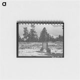 アートメモ帳-Snow on the Continental Divide
 - ラッセル リー Memo.