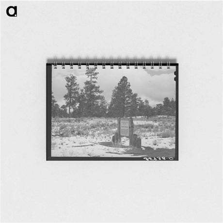 アートメモ帳-Snow on the Continental Divide
 - ラッセル リー Memo.