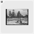 アートポストカード-Snow on the Continental Divide
 - ラッセル リー Postcard.