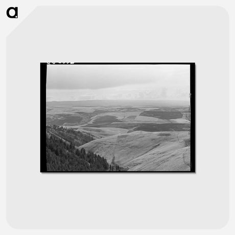 アートポストカード-Winchester Hill Wheat Fields
 - ラッセル リー Postcard.