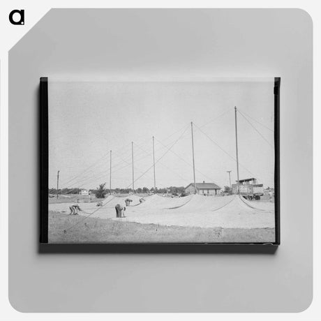 アートパネル-Erecting Tent
 - ラッセル リー Canvas.
