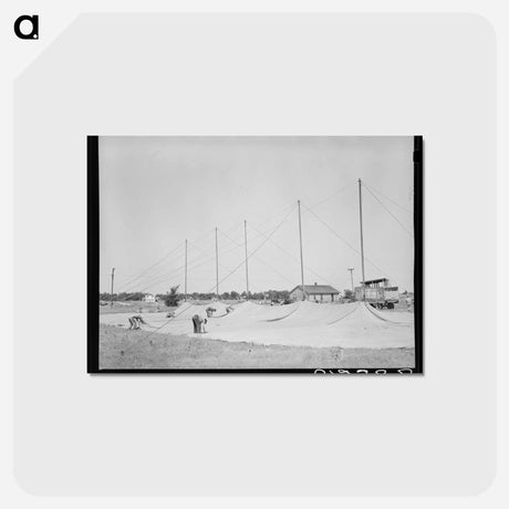 アートポストカード-Erecting Tent
 - ラッセル リー Postcard.