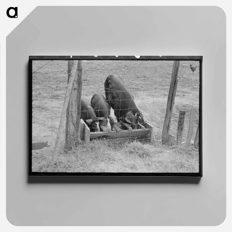 アートパネル-Pigs at the Trough
 - ラッセル リー Canvas.