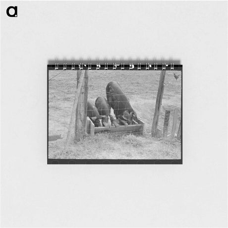 アートメモ帳-Pigs at the Trough
 - ラッセル リー Memo.