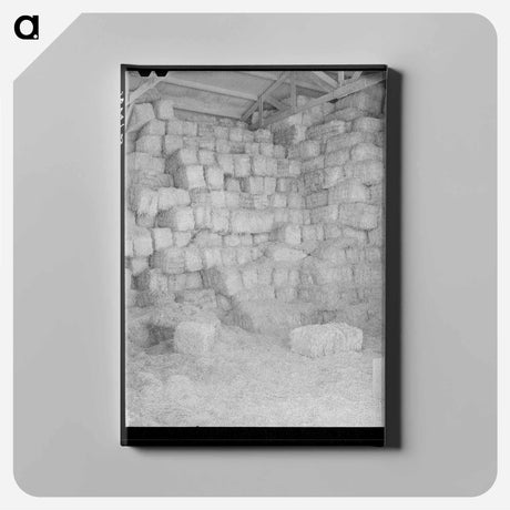 アートパネル-Baled Hay, Casa Grande Valley Farms
 - ラッセル リー Canvas.