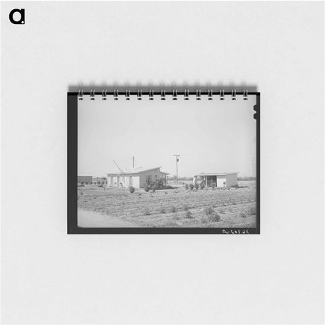 アートメモ帳-Casa Grande Valley Farms
 - ラッセル リー Memo.