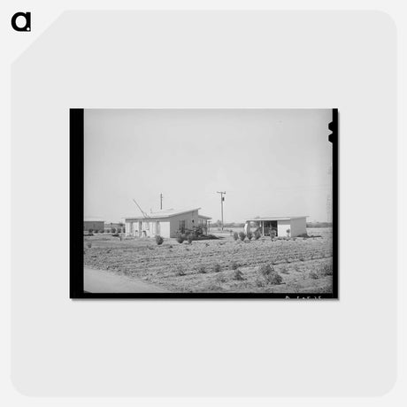 アートポストカード-Casa Grande Valley Farms
 - ラッセル リー Postcard.