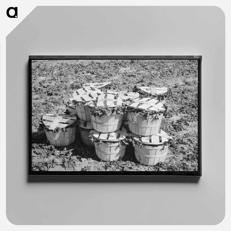 アートパネル-Spinach Baskets
 - ラッセル リー Canvas.