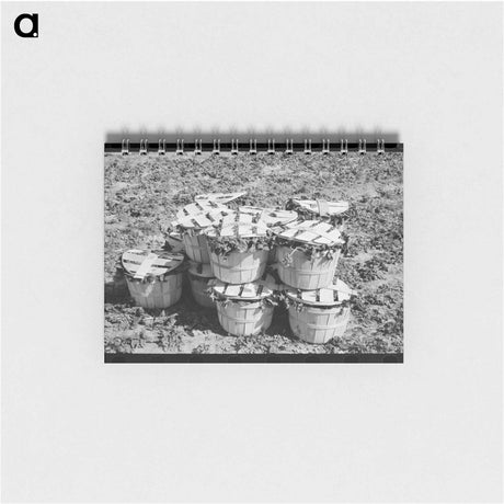 アートメモ帳-Spinach Baskets
 - ラッセル リー Memo.