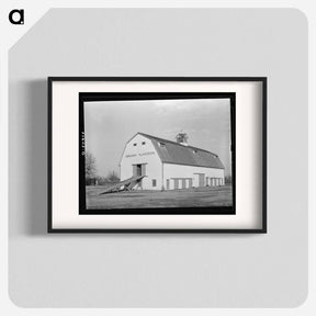 アートポスター-Barn. Sunflower Plantation, Mississippi
 - ラッセル リー Poster.