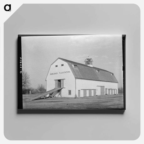 アートパネル-Barn. Sunflower Plantation, Mississippi
 - ラッセル リー Canvas.
