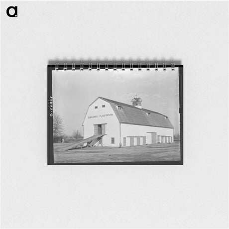 アートメモ帳-Barn. Sunflower Plantation, Mississippi
 - ラッセル リー Memo.