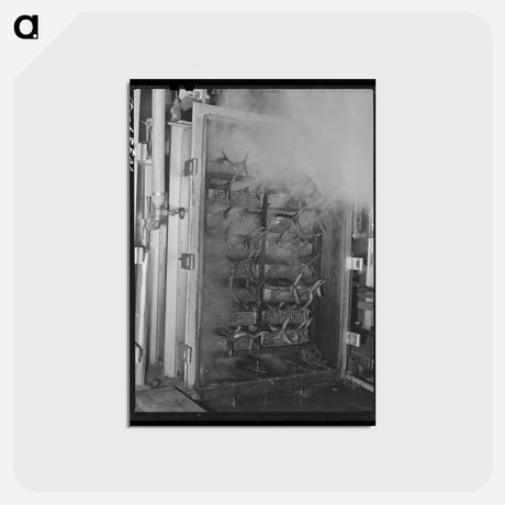 アートポストカード-Steaming Tuna
 - ラッセル リー Postcard.