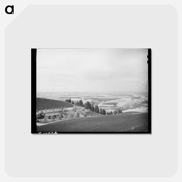 アートポストカード-Wheat Fields from Winchester Hill
 - ラッセル リー Postcard.