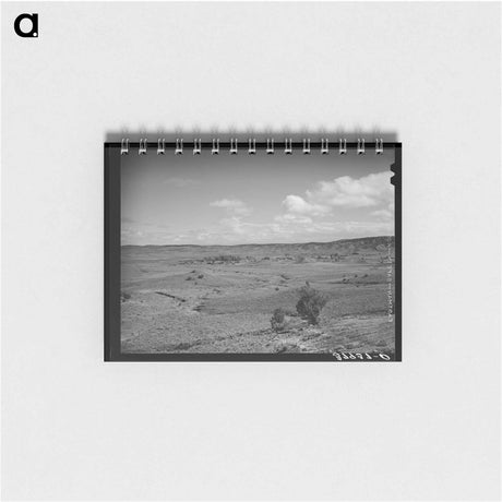 アートメモ帳-Concho, Arizona
 - ラッセル リー Memo.