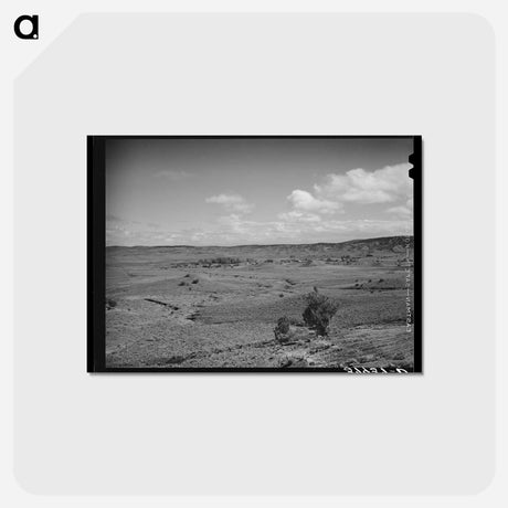 アートポストカード-Concho, Arizona
 - ラッセル リー Postcard.