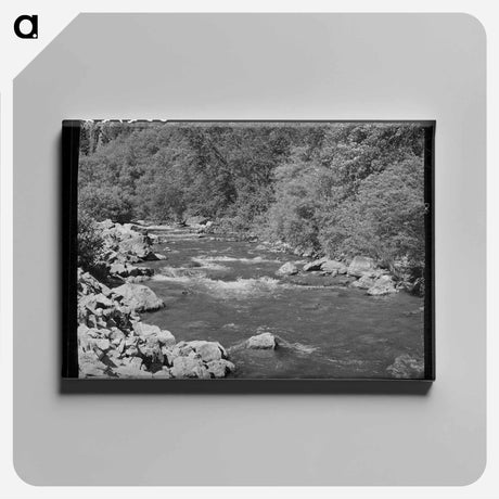 アートパネル-Logan River, Cache County, Utah
 - ラッセル リー Canvas.