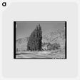 アートポストカード-Rural Scene, Box Elder County
 - ラッセル リー Postcard.