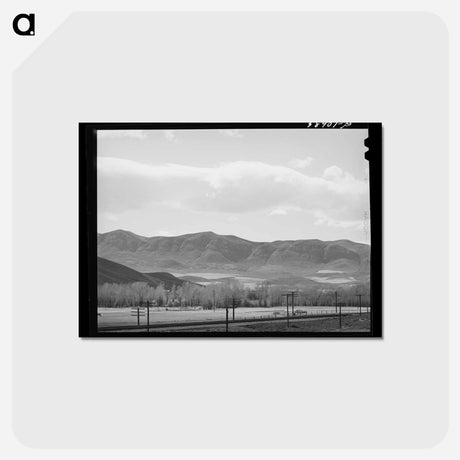 アートポストカード-Utah Fields
 - ラッセル リー Postcard.