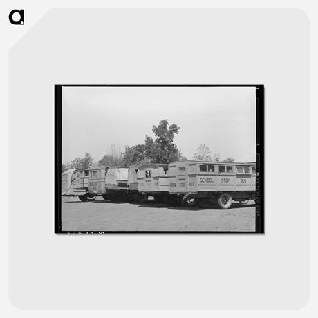 アートポストカード-School Buses, Wells, Texas
 - ラッセル リー Postcard.