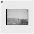アートポストカード-Wheat Field Railroad
 - ラッセル リー Postcard.