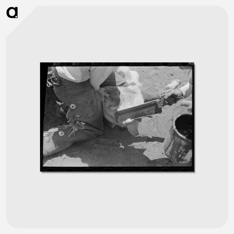 アートポストカード-Calf Dehorning
 - ラッセル リー Postcard.