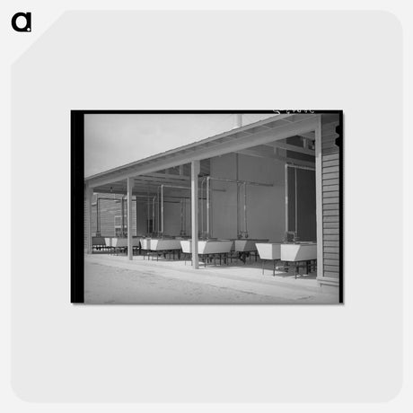 アートポストカード-Laundry Tubs at Sinton
 - ラッセル リー Postcard.