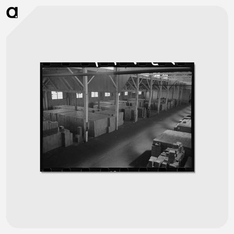 アートポストカード-Canned Salmon Warehouse
 - ラッセル リー Postcard.
