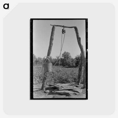 アートポストカード-Well of White Tenant Farmer
 - ラッセル リー Postcard.