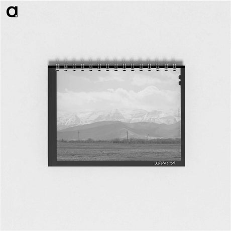 アートメモ帳-Spring Pasture
 - ラッセル リー Memo.