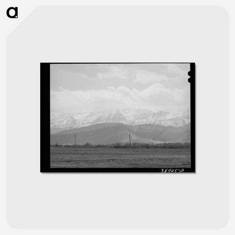 アートポストカード-Spring Pasture
 - ラッセル リー Postcard.