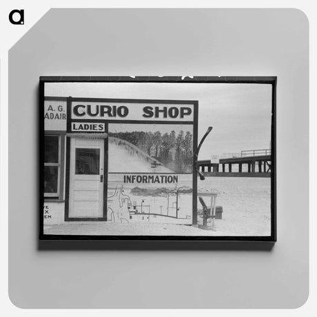 アートパネル-Curio Shop and Ladies' Restroom
 - ラッセル リー Canvas.