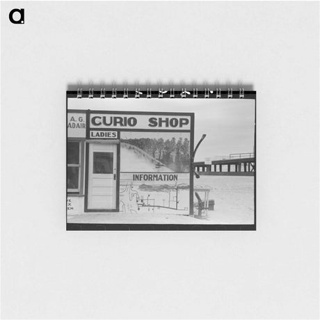 アートメモ帳-Curio Shop and Ladies' Restroom
 - ラッセル リー Memo.