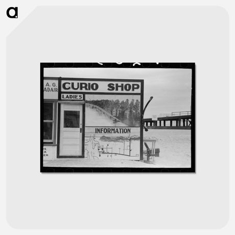 アートポストカード-Curio Shop and Ladies' Restroom
 - ラッセル リー Postcard.