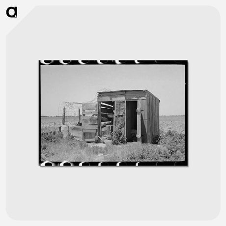 アートポストカード-Combination Henhouse and Privy
 - ラッセル リー Postcard.
