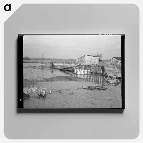 アートパネル-Flooded Farmland
 - ラッセル リー Canvas.