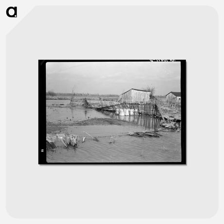 アートポストカード-Flooded Farmland
 - ラッセル リー Postcard.