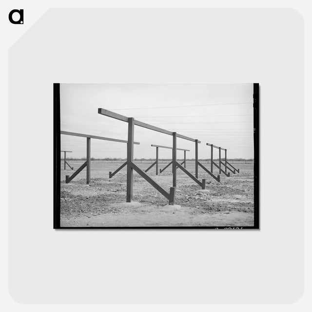アートポストカード-Clotheslines at the Migratory Labor Camp
 - ラッセル リー Postcard.