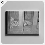 アートパネル-Privies. Mexican Corral, San Antonio, Texas
 - ラッセル リー Canvas.
