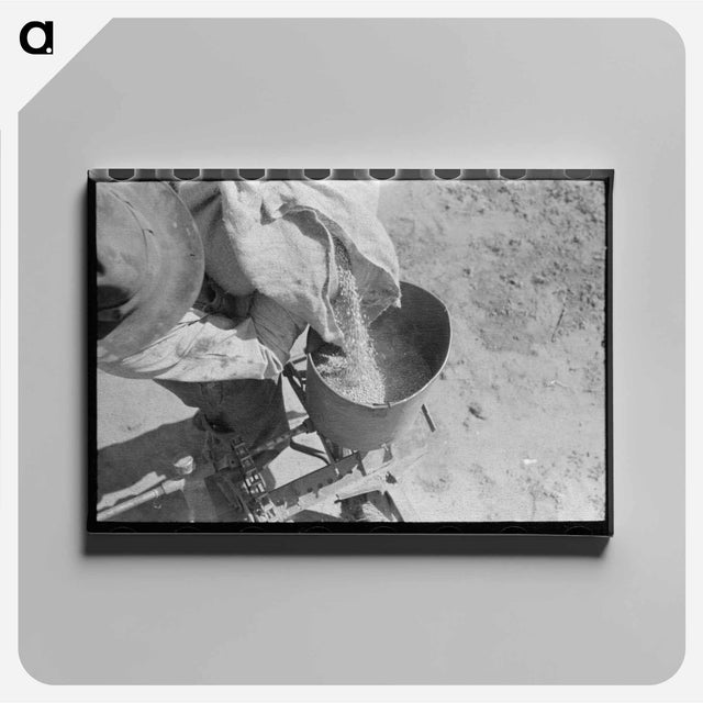 アートパネル-Kaffir Corn Seed
 - ラッセル リー Canvas.