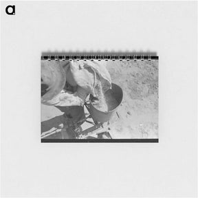 アートメモ帳-Kaffir Corn Seed
 - ラッセル リー Memo.