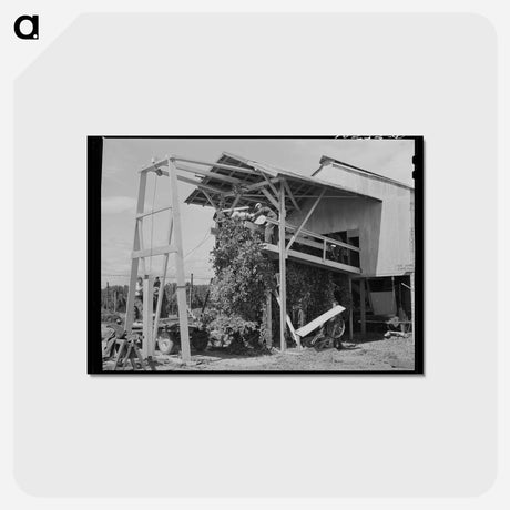 アートポストカード-Mechanical Hop Picker
 - ラッセル リー Postcard.