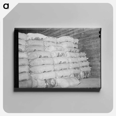 アートパネル-Cotton Seed Meal Storage
 - ラッセル リー Canvas.