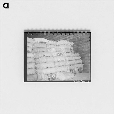 アートメモ帳-Cotton Seed Meal Storage
 - ラッセル リー Memo.