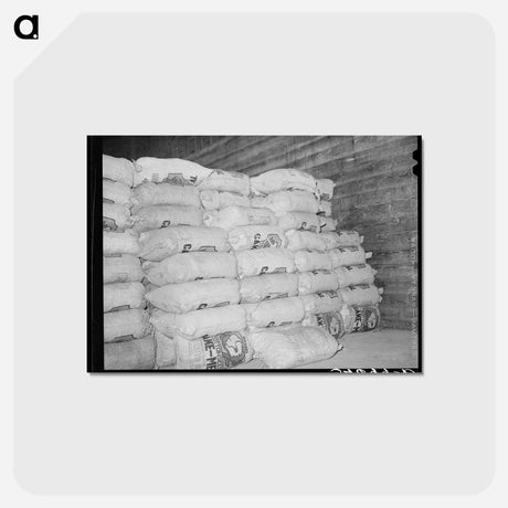 アートポストカード-Cotton Seed Meal Storage
 - ラッセル リー Postcard.